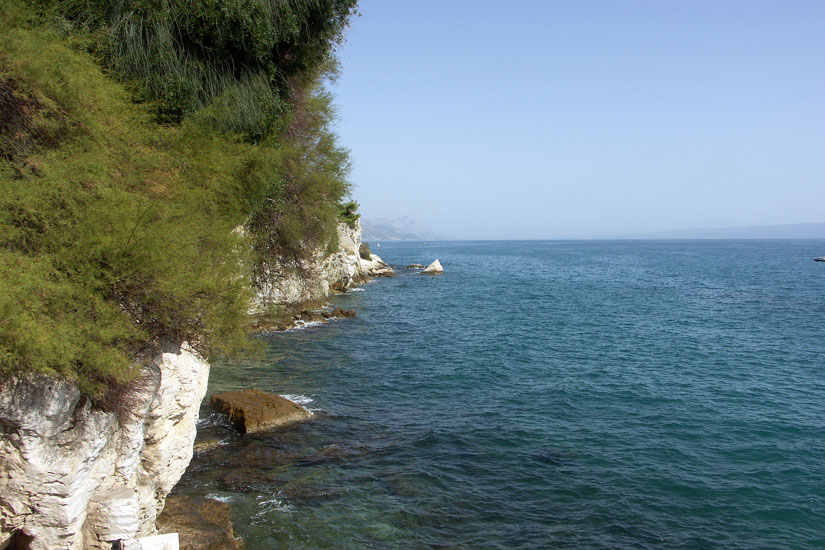 Obraz 231